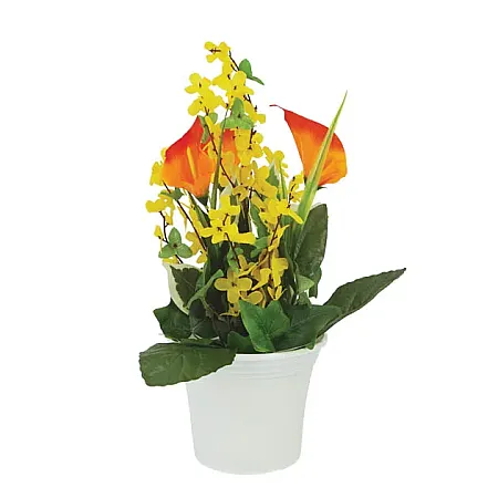 images/uploads/12207/thumb_1-270-E 2022.webp